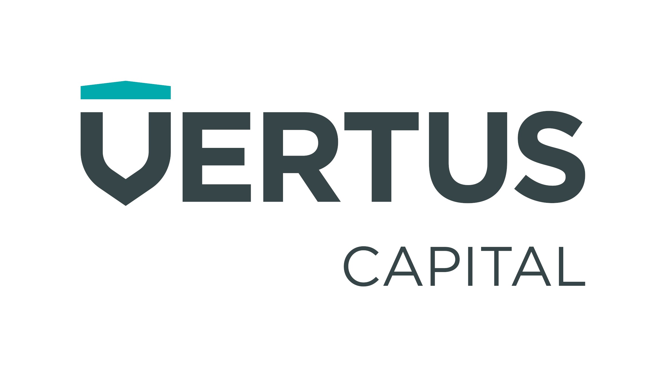 SALE OF MAJORITY HOLDING IN VERTUS